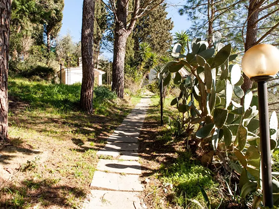 Immagine 17 di Casa indipendente in vendita  a Casciana Terme Lari