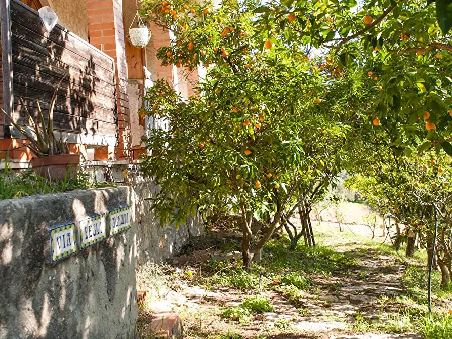 Immagine 6 di Casa indipendente in vendita  a Casciana Terme Lari