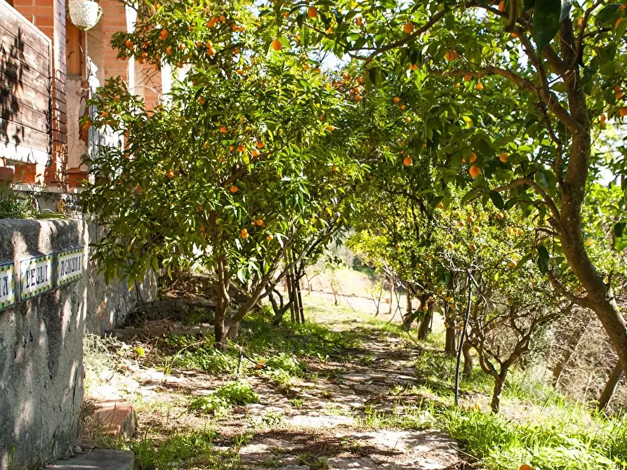 Immagine 7 di Casa indipendente in vendita  a Casciana Terme Lari