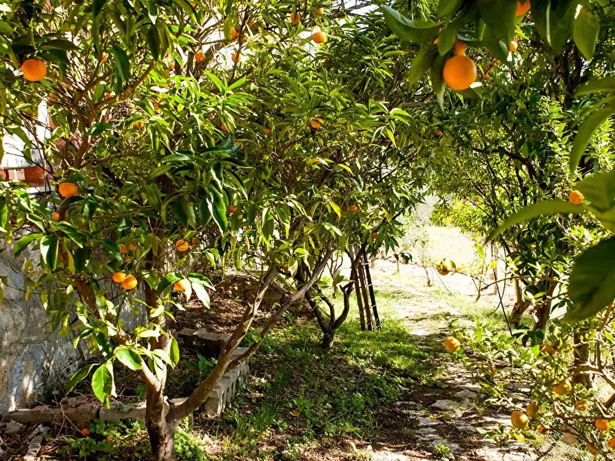 Immagine 8 di Casa indipendente in vendita  a Casciana Terme Lari