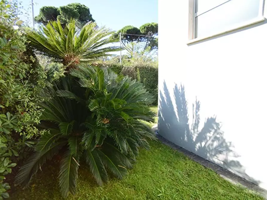 Immagine 69 di Villa in vendita  a Viareggio