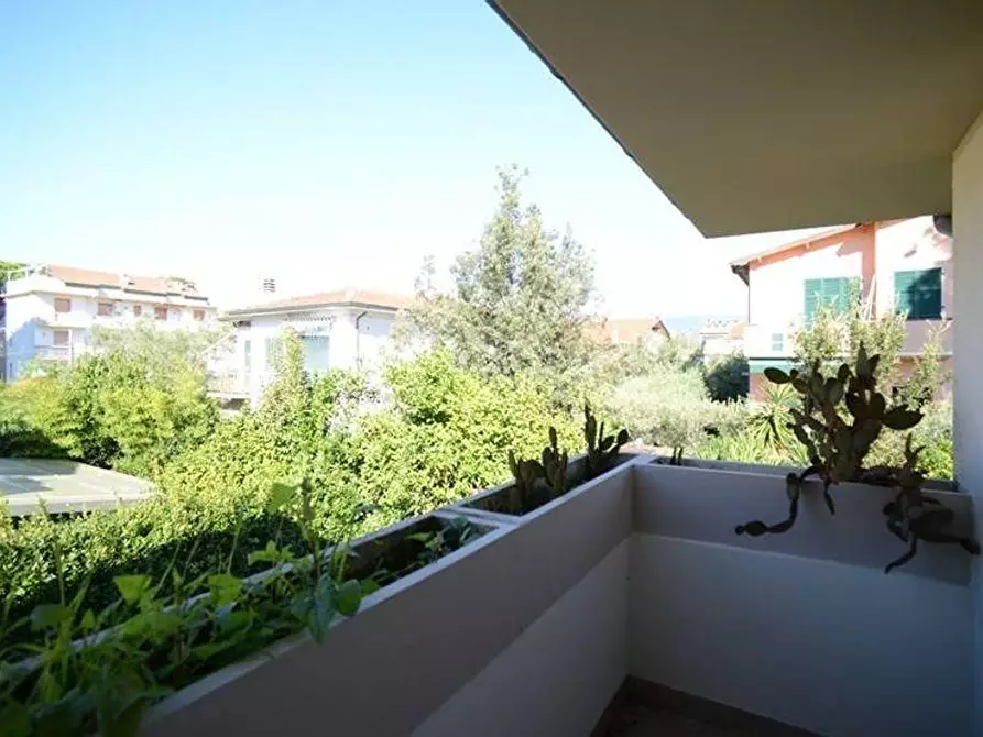 Immagine 59 di Villa in vendita  a Viareggio