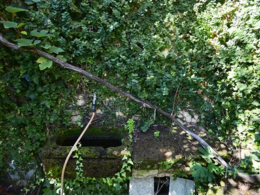 Immagine 61 di Villa in vendita  a Viareggio