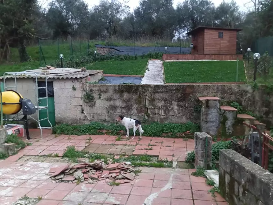 Immagine 15 di Terratetto in vendita  a Casciana Terme Lari