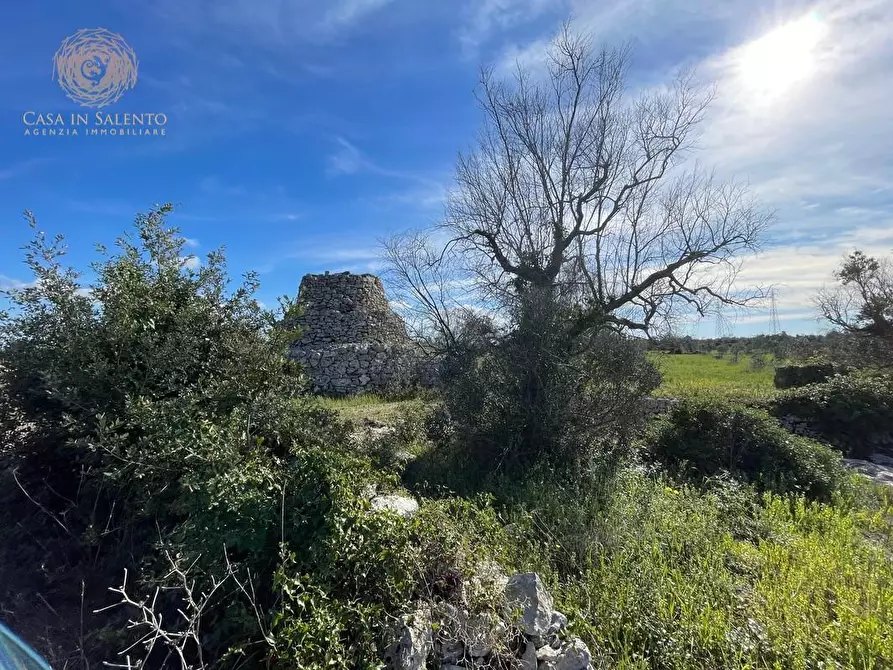 Immagine 39 di Terreno agricolo in vendita  a Alessano