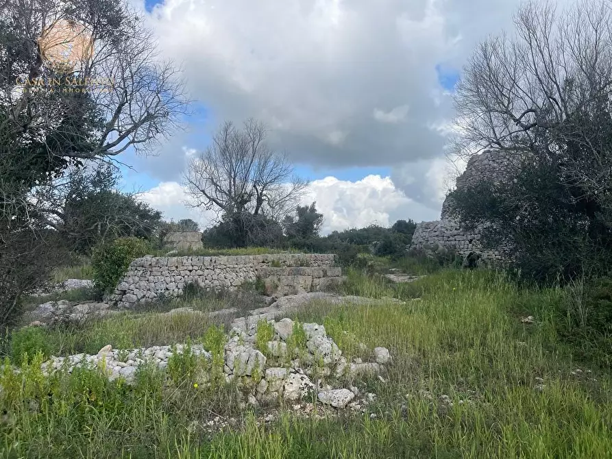 Immagine 54 di Terreno agricolo in vendita  a Alessano