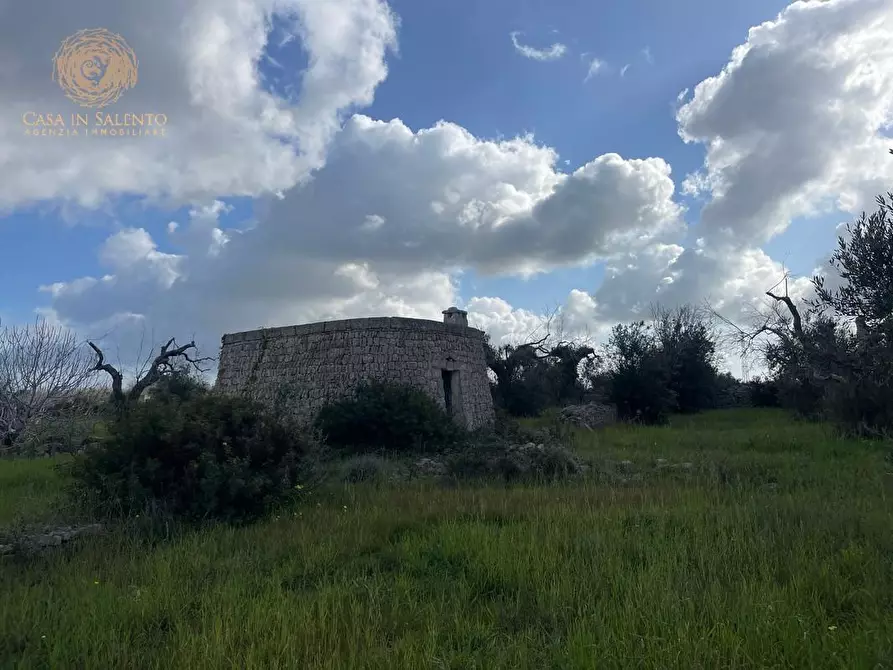 Immagine 44 di Terreno agricolo in vendita  a Alessano
