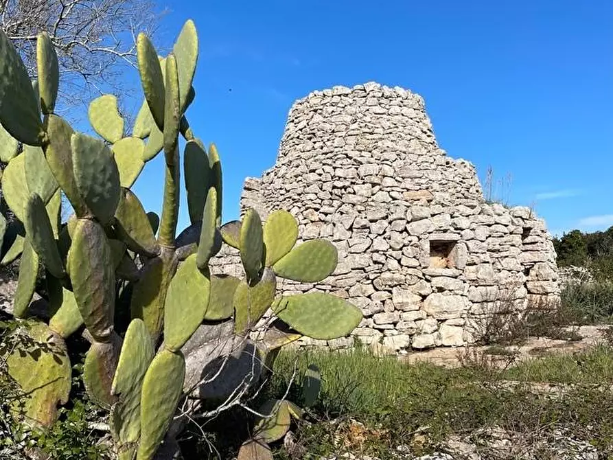 Immagine 24 di Terreno agricolo in vendita  a Alessano
