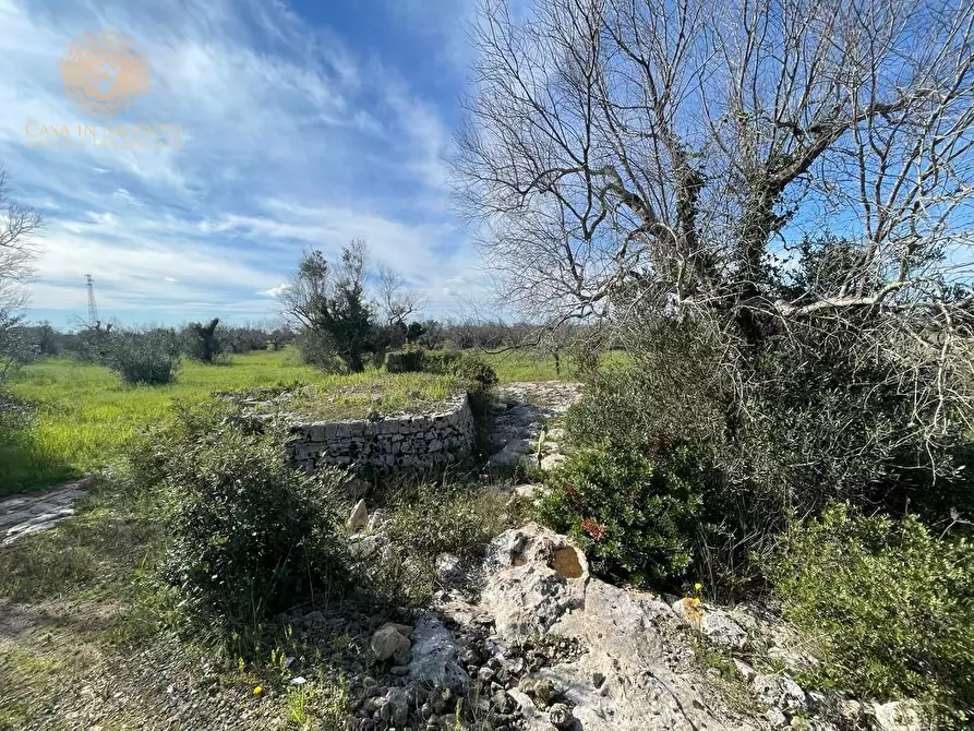 Immagine 20 di Terreno agricolo in vendita  a Alessano