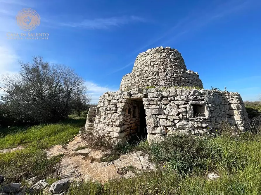 Immagine 41 di Terreno agricolo in vendita  a Alessano