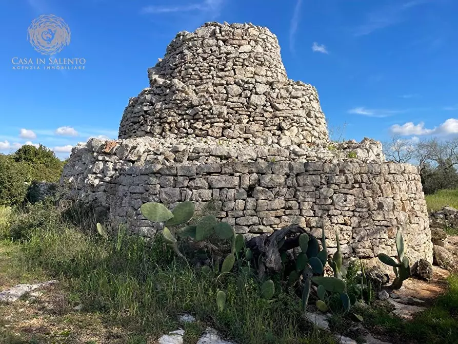 Immagine 22 di Terreno agricolo in vendita  a Alessano