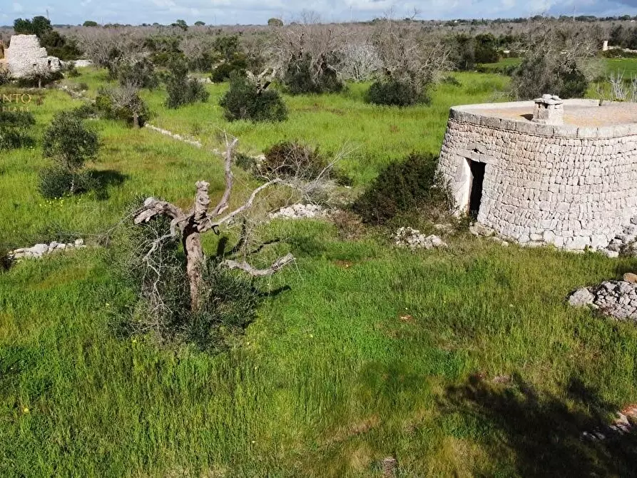Immagine 64 di Terreno agricolo in vendita  a Alessano