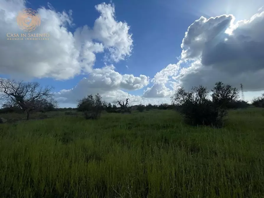 Immagine 57 di Terreno agricolo in vendita  a Alessano
