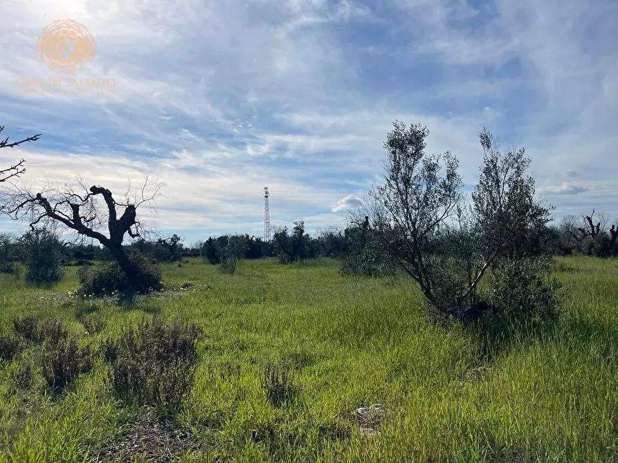 Immagine 27 di Terreno agricolo in vendita  a Alessano