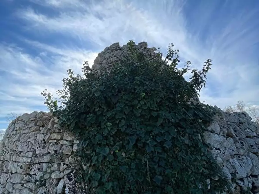 Immagine 37 di Terreno agricolo in vendita  a Alessano