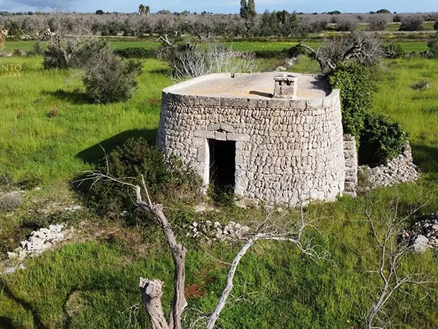 Immagine 66 di Terreno agricolo in vendita  a Alessano