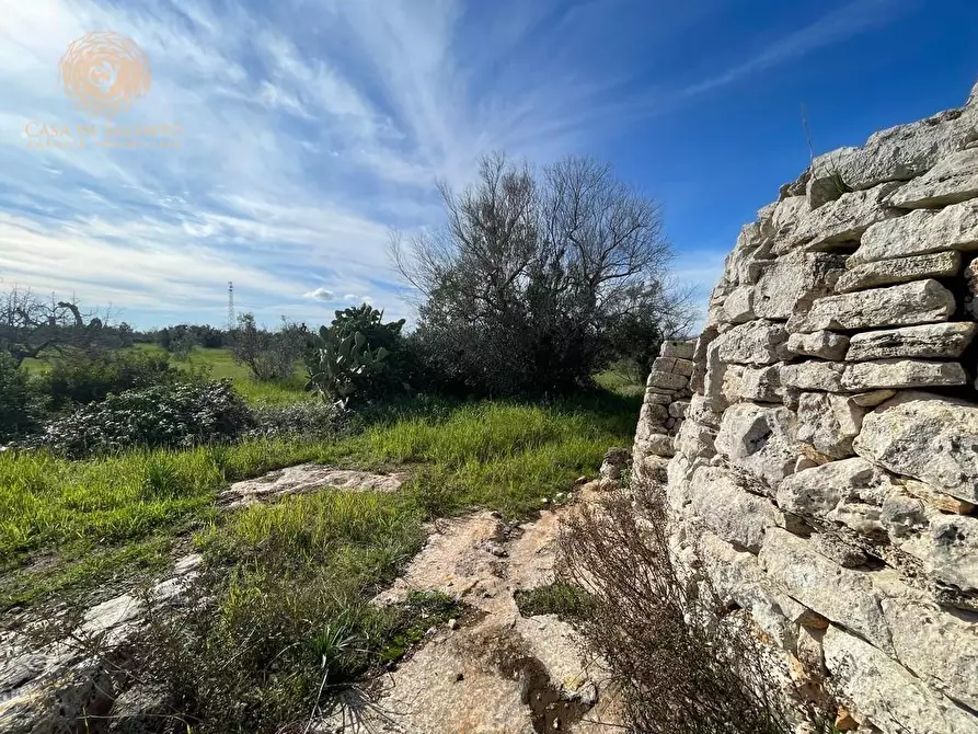 Immagine 31 di Terreno agricolo in vendita  a Alessano