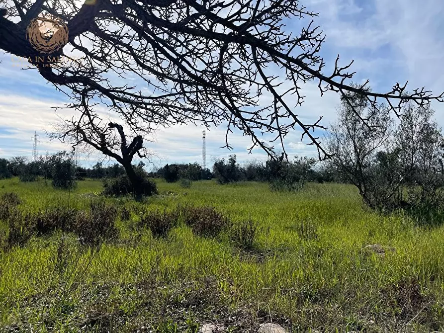 Immagine 26 di Terreno agricolo in vendita  a Alessano