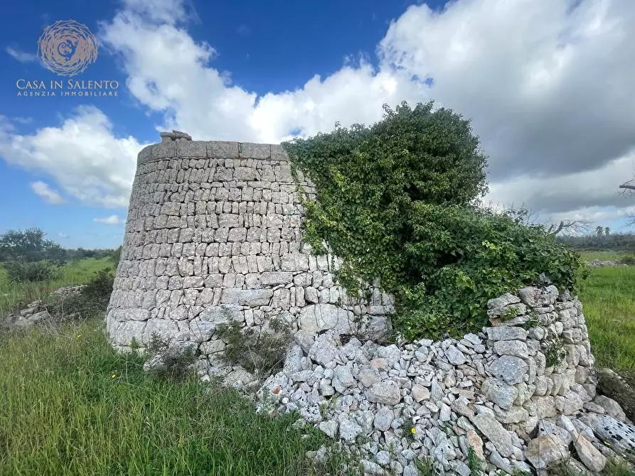 Immagine 53 di Terreno agricolo in vendita  a Alessano