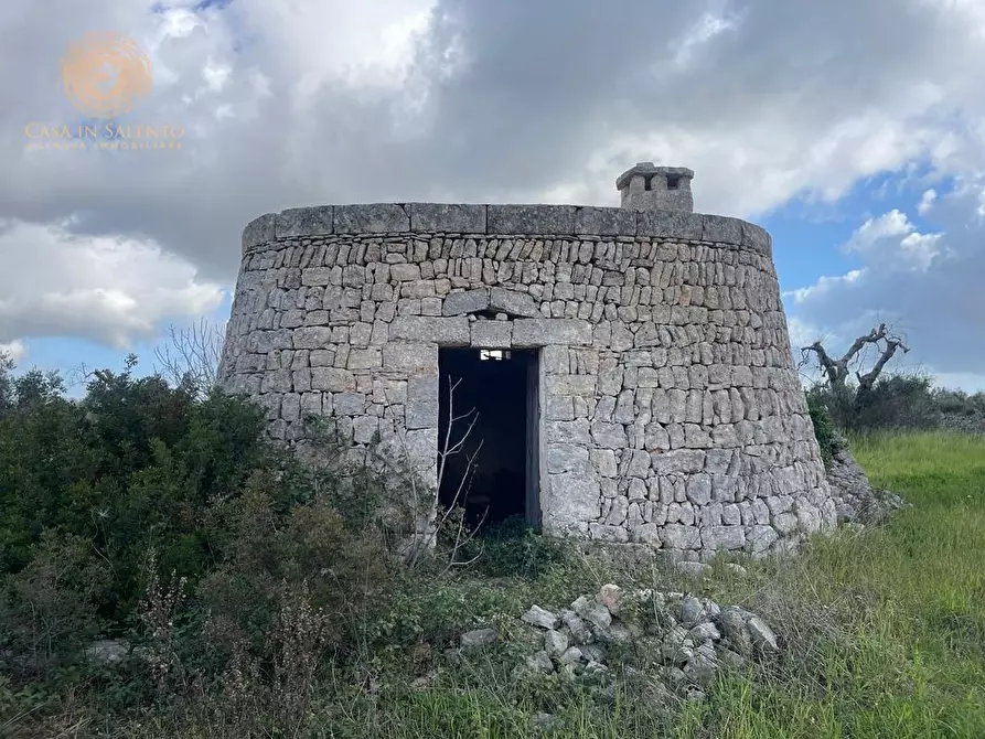 Immagine 47 di Terreno agricolo in vendita  a Alessano