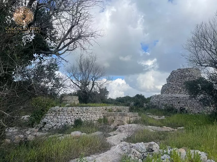 Immagine 55 di Terreno agricolo in vendita  a Alessano