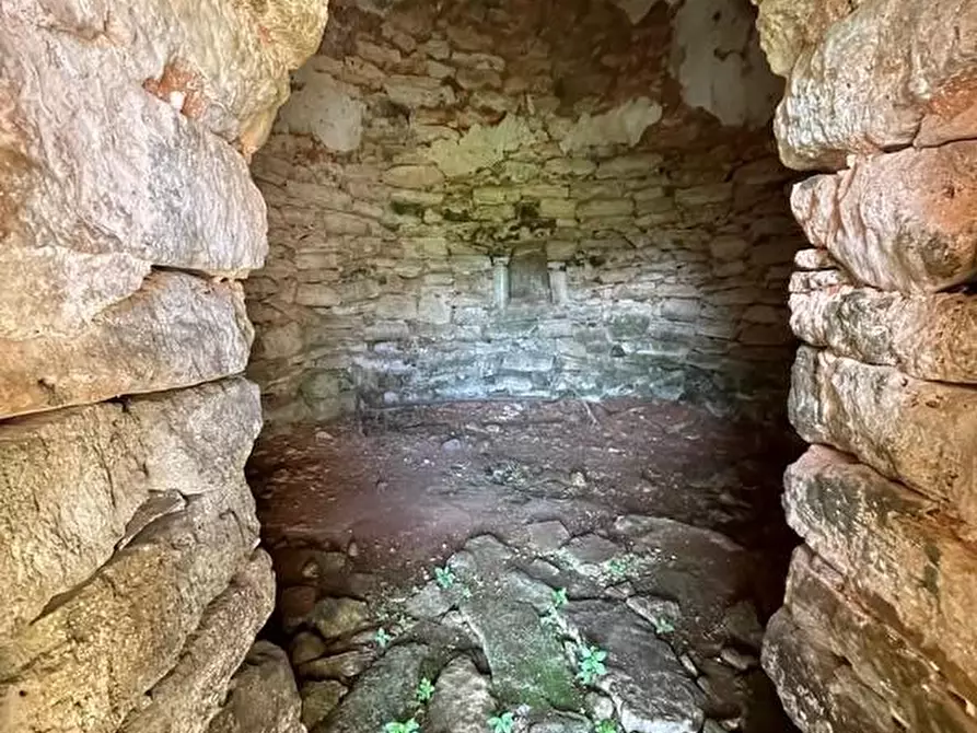 Immagine 34 di Terreno agricolo in vendita  a Alessano