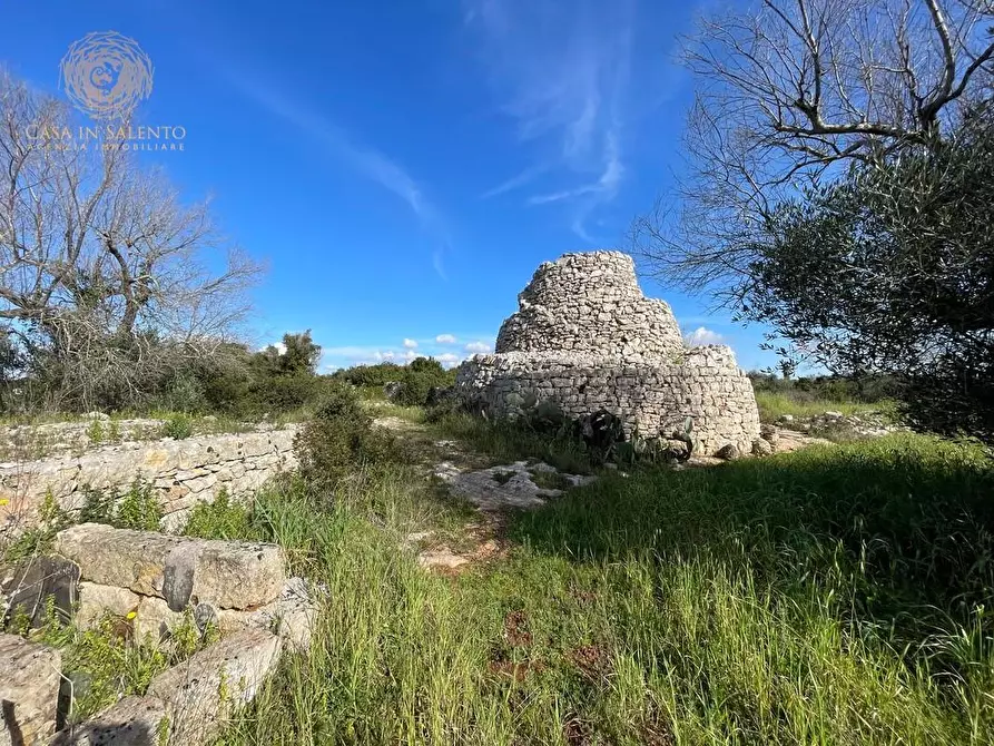 Immagine 23 di Terreno agricolo in vendita  a Alessano