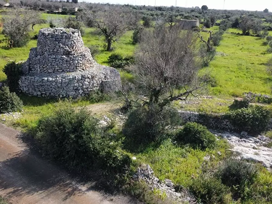 Immagine 59 di Terreno agricolo in vendita  a Alessano
