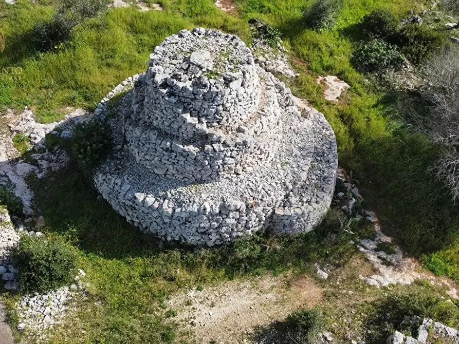 Immagine 58 di Terreno agricolo in vendita  a Alessano