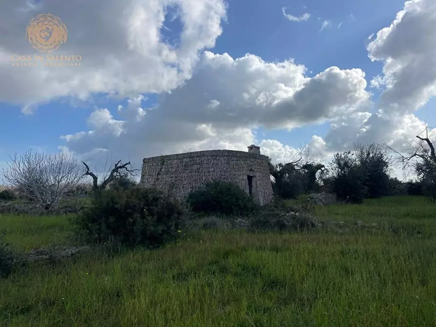 Immagine 45 di Terreno agricolo in vendita  a Alessano