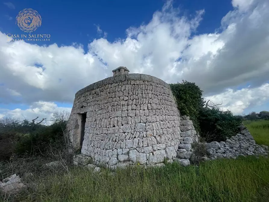 Immagine 52 di Terreno agricolo in vendita  a Alessano