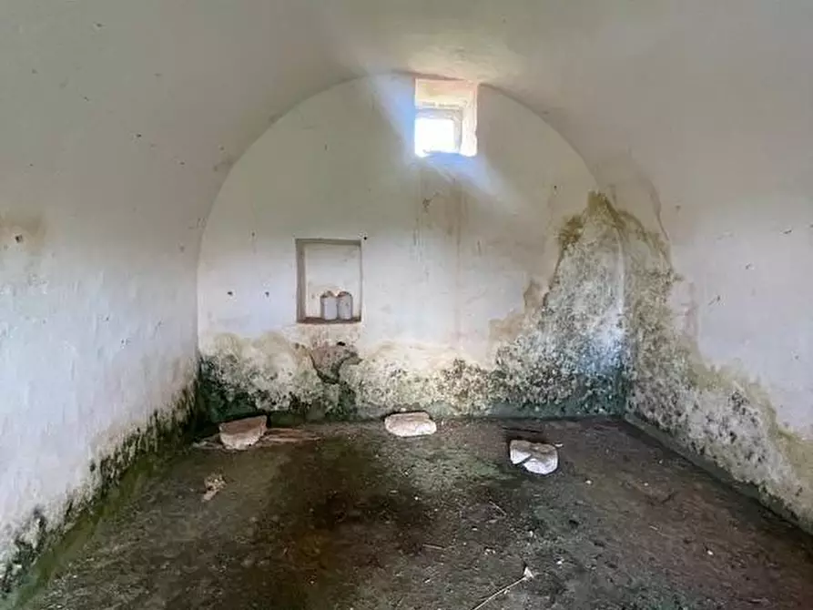 Immagine 51 di Terreno agricolo in vendita  a Alessano