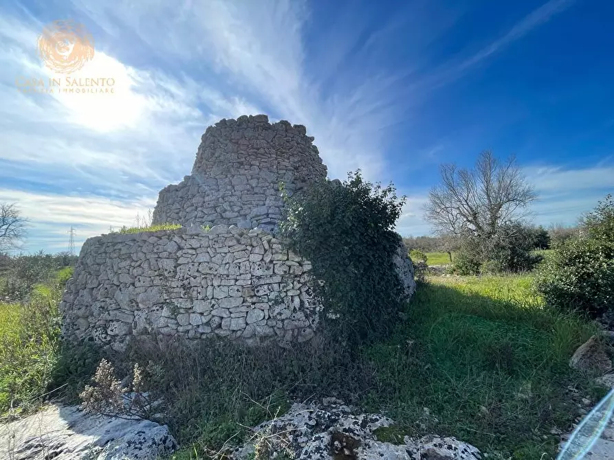 Immagine 36 di Terreno agricolo in vendita  a Alessano