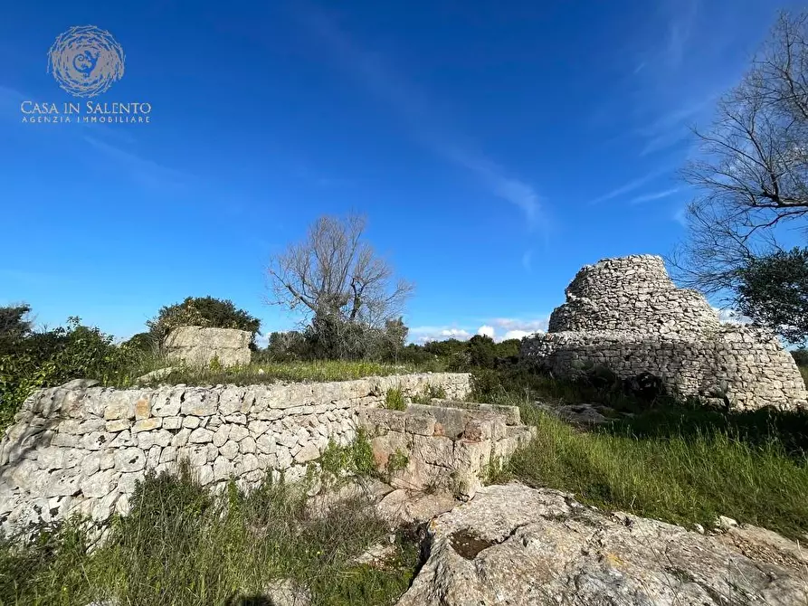 Immagine 28 di Terreno agricolo in vendita  a Alessano