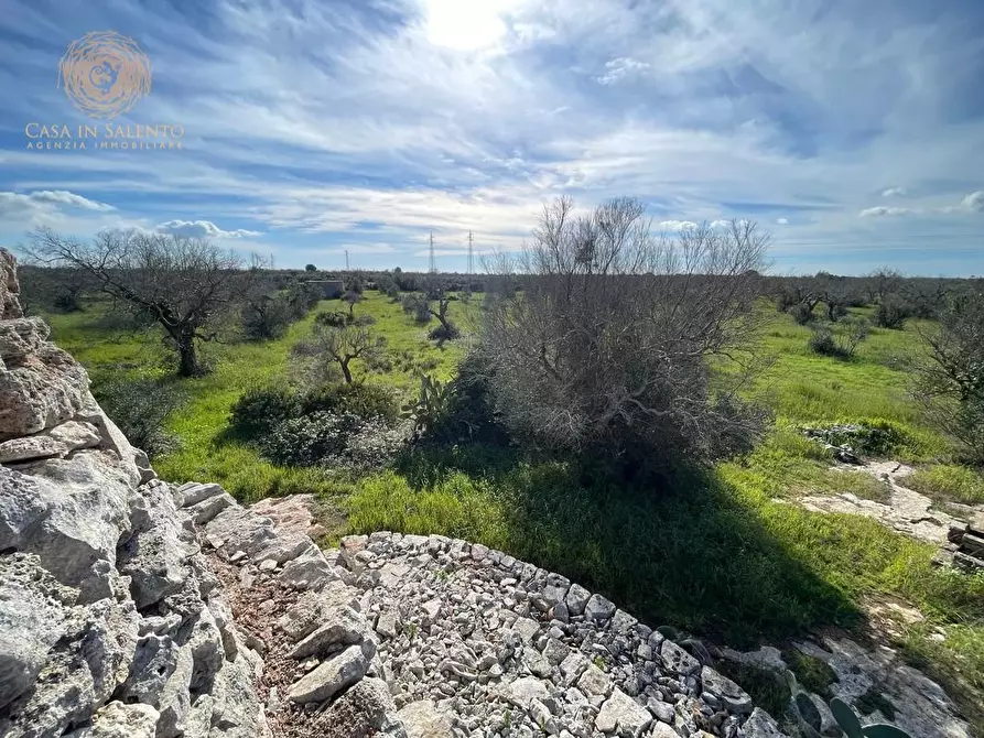 Immagine 43 di Terreno agricolo in vendita  a Alessano