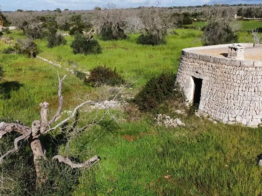 Immagine 65 di Terreno agricolo in vendita  a Alessano