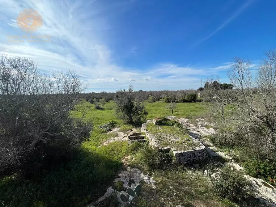 Immagine 42 di Terreno agricolo in vendita  a Alessano