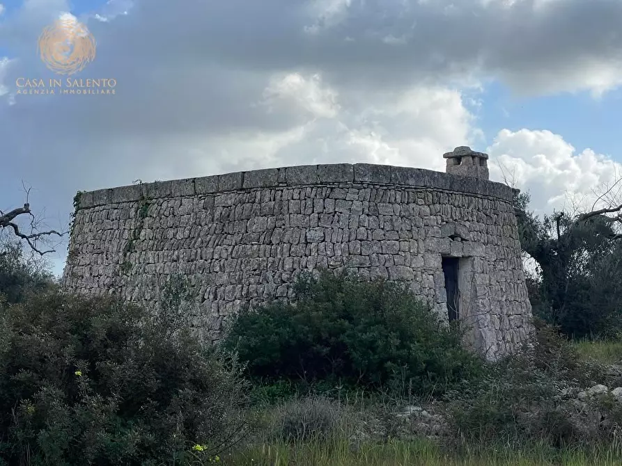 Immagine 46 di Terreno agricolo in vendita  a Alessano