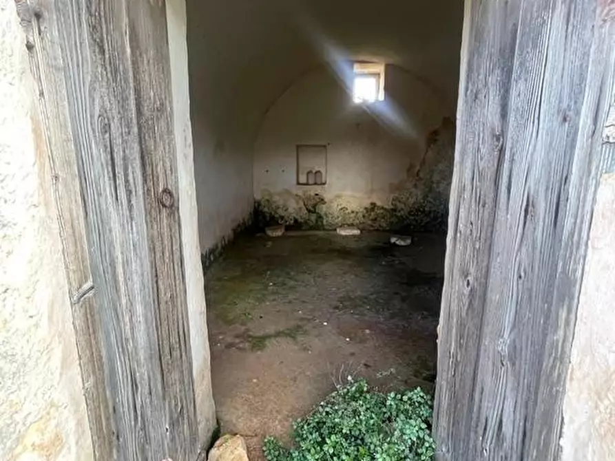 Immagine 49 di Terreno agricolo in vendita  a Alessano