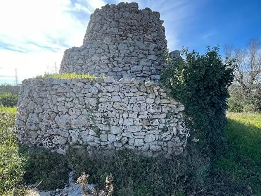 Immagine 35 di Terreno agricolo in vendita  a Alessano