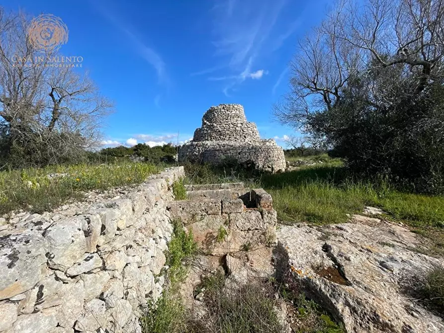 Immagine 29 di Terreno agricolo in vendita  a Alessano