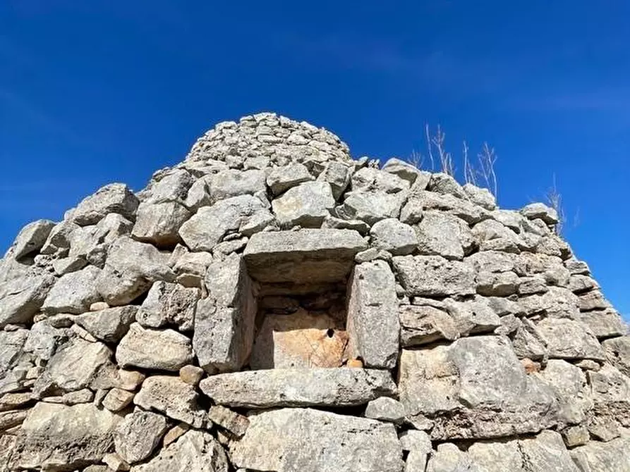 Immagine 30 di Terreno agricolo in vendita  a Alessano
