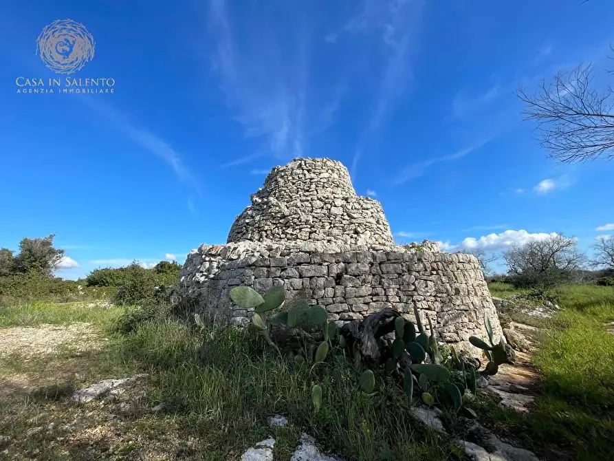 Immagine 21 di Terreno agricolo in vendita  a Alessano