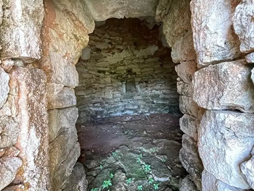Immagine 33 di Terreno agricolo in vendita  a Alessano