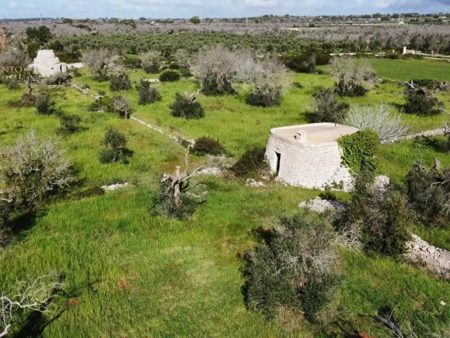 Immagine 62 di Terreno agricolo in vendita  a Alessano