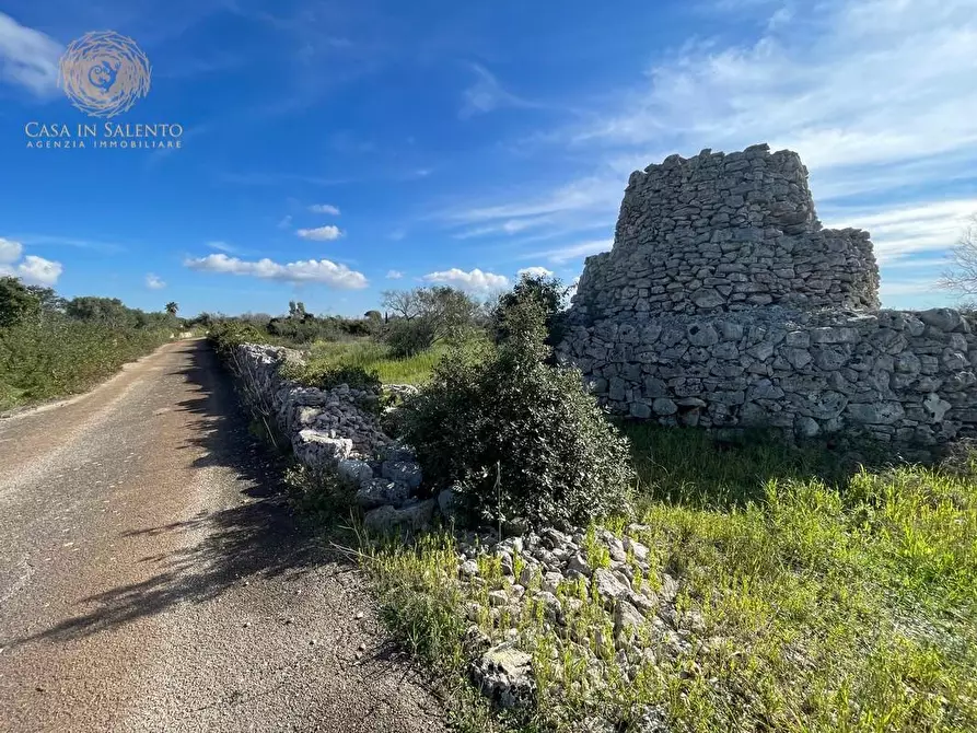 Immagine 38 di Terreno agricolo in vendita  a Alessano