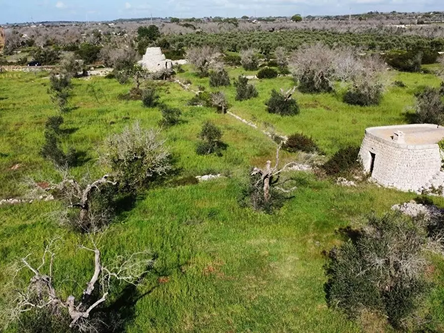 Immagine 61 di Terreno agricolo in vendita  a Alessano