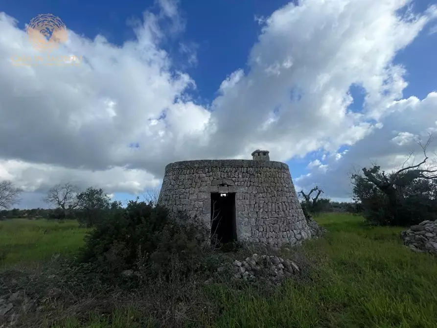 Immagine 48 di Terreno agricolo in vendita  a Alessano