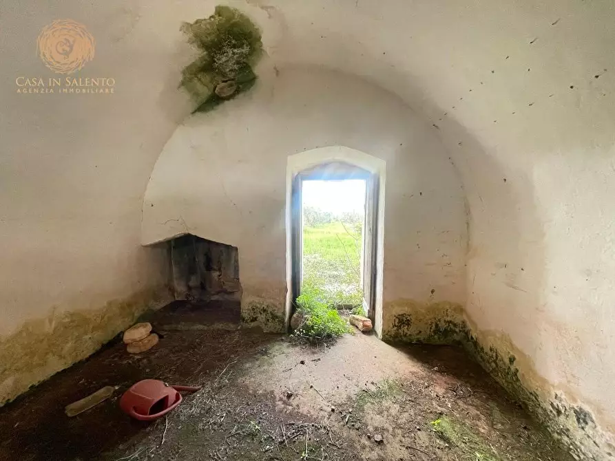 Immagine 50 di Terreno agricolo in vendita  a Alessano