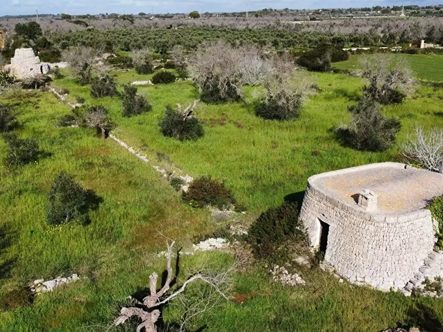 Immagine 63 di Terreno agricolo in vendita  a Alessano